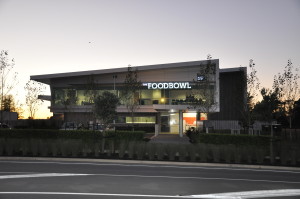 FoodBowl Series 2 (1)