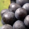 Grape seed extract