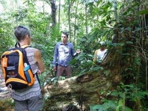 Summit Bag in Amazon